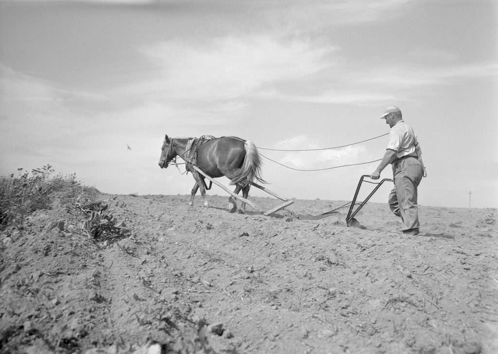 Different sources of farm power used in agriculture