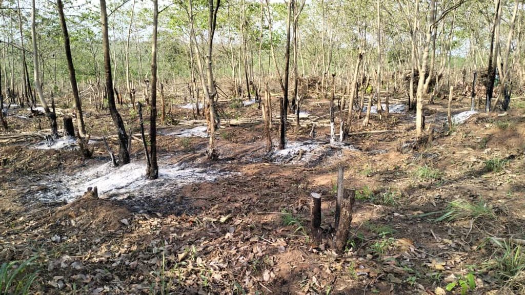 bush burning for farming at Ugwuoba Enugu State Nigeria