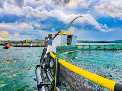 Fish farming and aquaculture