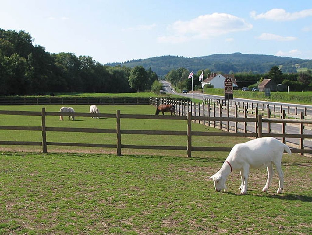 Types of Grazing Systems: Advantages and Disadvantages
