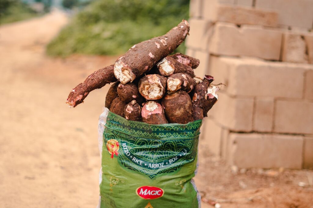 Root and tuber Crops - (cassava)