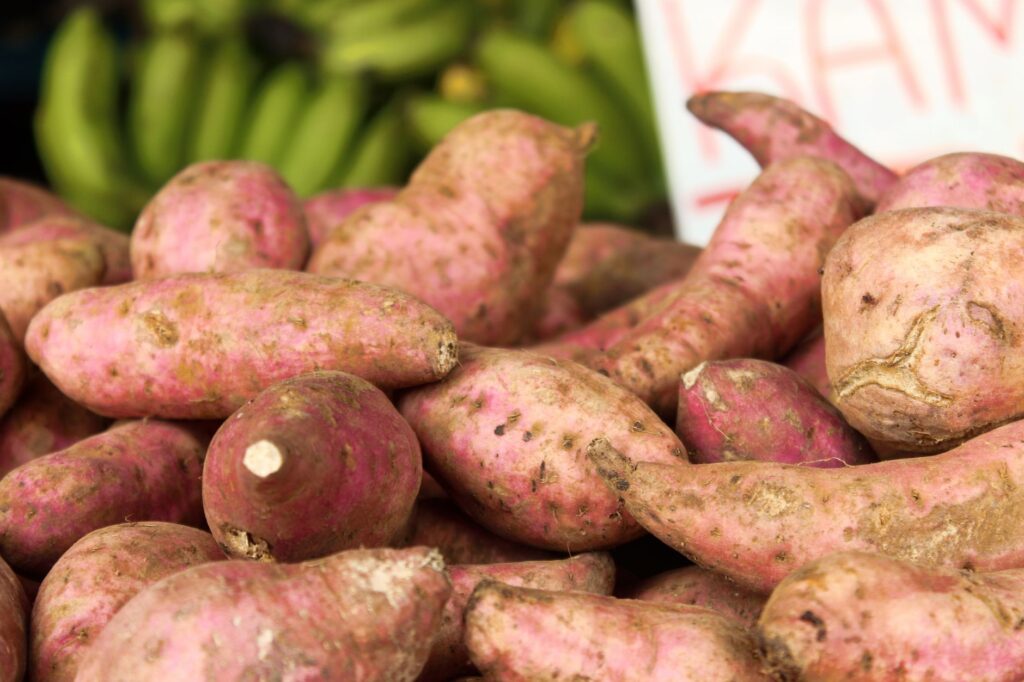 Root and tuber Crops - (sweet potatoes)