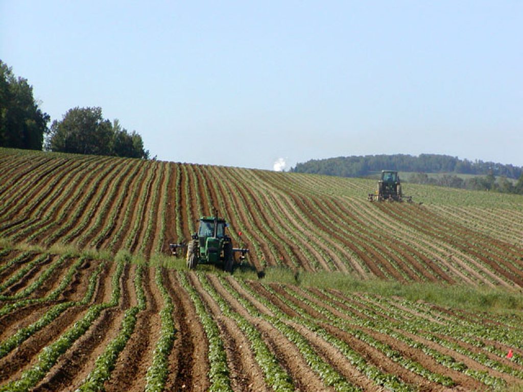 Subsistence and Commercial Agriculture