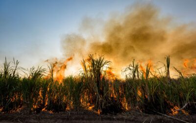 Air pollution from bush burning on agricultural farmland